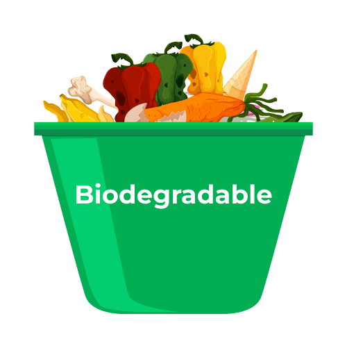 Biodegradable là gì và bản chất của phân hủy sinh học