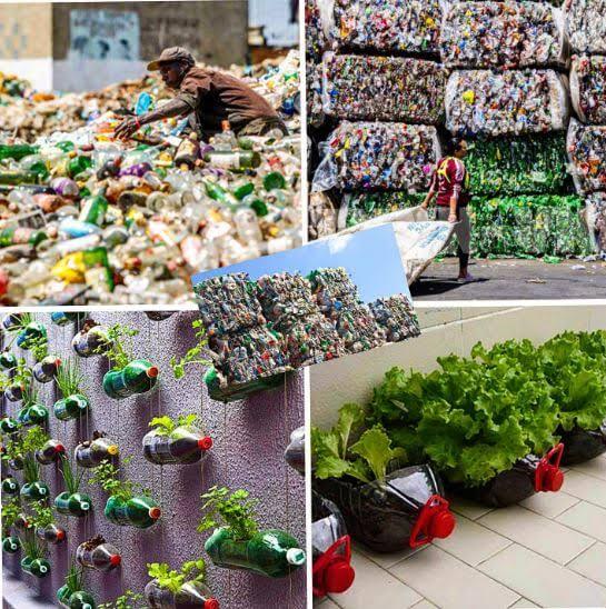 So sánh nhựa tái sinh và nhựa nguyên sinh