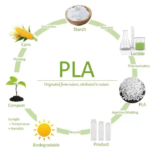 PLA là gì? PLA có bền không và những điều cần biết 2 Các giai đoạn hình thành nhựa PLA