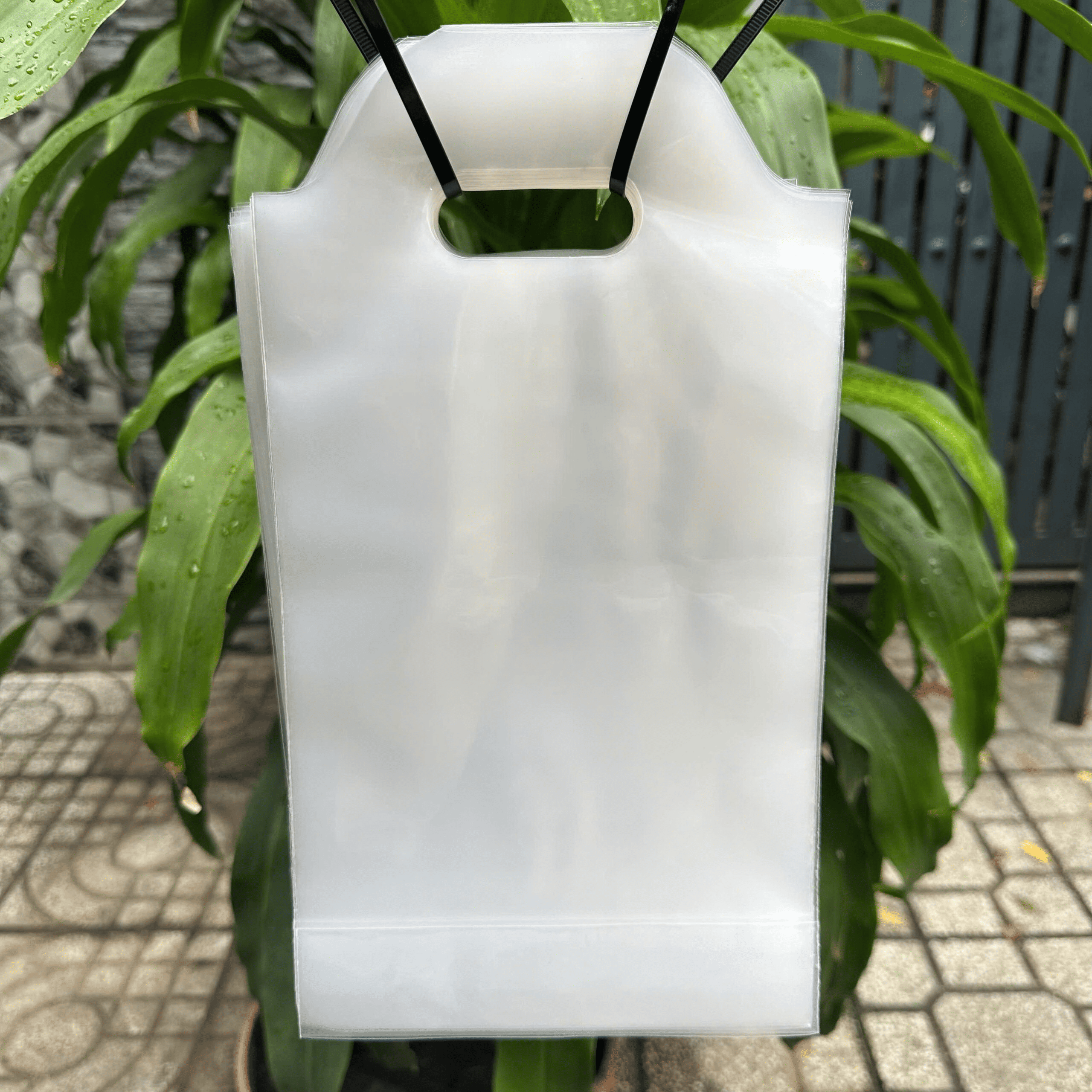 Túi đựng ly trà sữa loại 1 ly và 2 ly chất lượng tại Hà Nội 14 Túi đựng trà sữa 1 ly dạng quai đục lỗ
