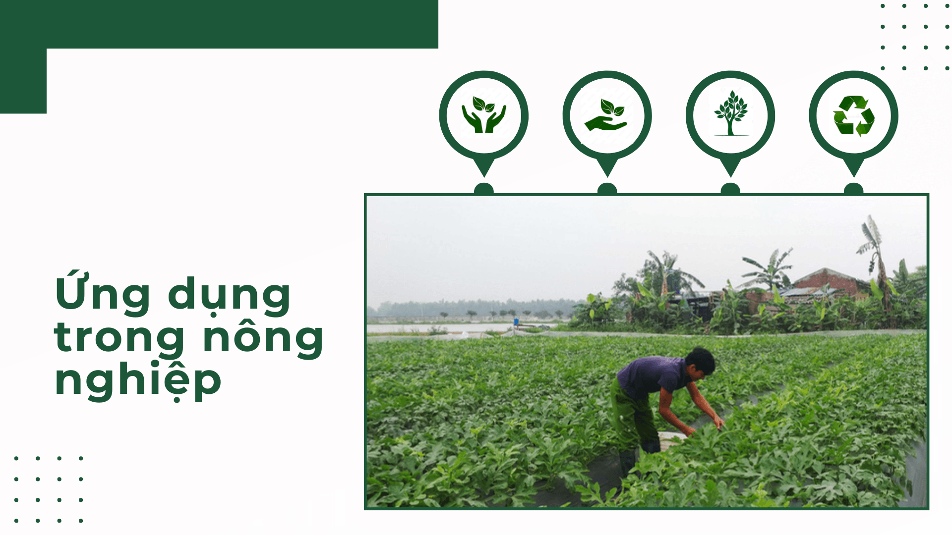 Nhựa sinh học là gì? Tìm hiểu các loại nhựa sinh học phổ biến 5 Ứng dụng nhựa sinh học trong lĩnh vực nông nghiệp