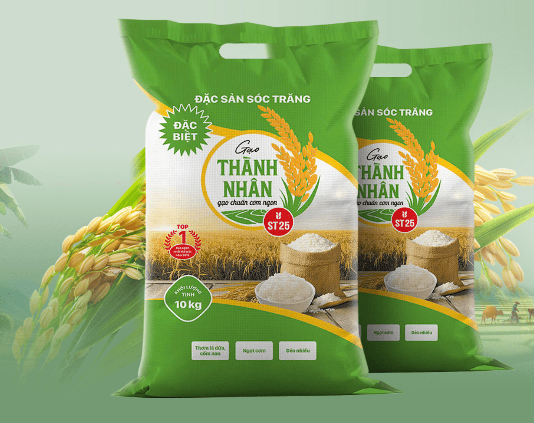 Xưởng in bao bì nông sản chất lượng, thiết kế sắc nét 11 Bao PP dệt ghép giấy