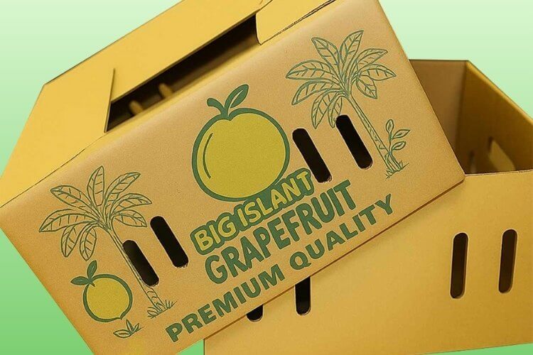 Công nghệ in nào phù hợp với thùng carton chất lượng nhất hiện nay 2 In offset – kỹ thuật công nghệ in nào phù hợp với thùng carton cao cấp