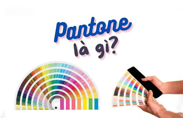 Pantone là gì và tại sao hệ màu này lại quan trọng trong thiết kế 1 Khái niệm pantone là gì