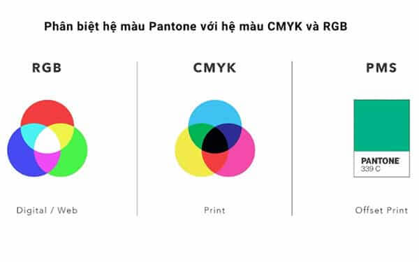 Pantone là gì và tại sao hệ màu này lại quan trọng trong thiết kế 5 Phân biệt hệ màu RGB, CMYK và Pantone